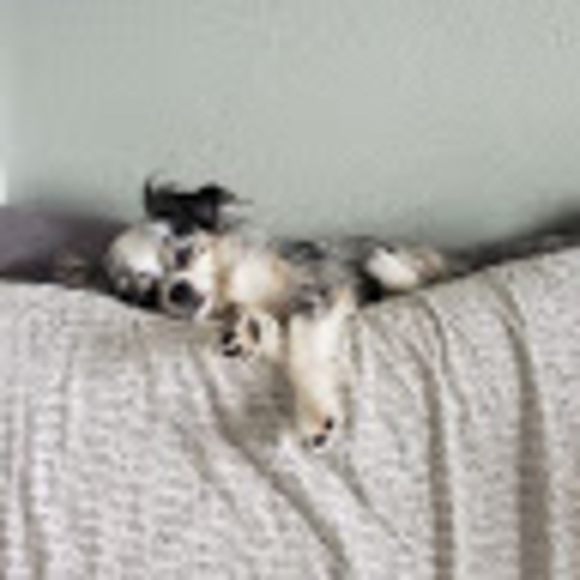 Meet your Posher, Jennifer - Picture 1 of 1